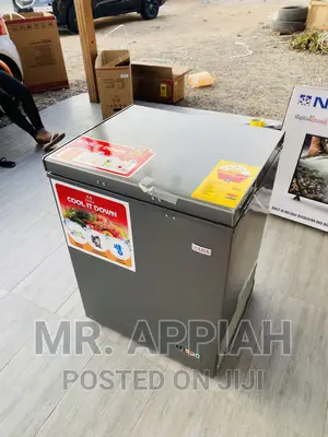 Reliable and Effective Zara Electric Freezer(200)Dark Gray