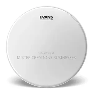 Evans Uv2 Coated