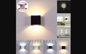 Vlite Outdoor/Indoor Wall Light