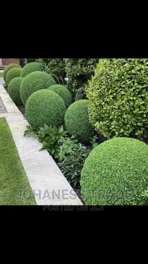 Gardening And Lawn Services