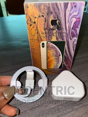 iPhone X USB Adapter and Cable