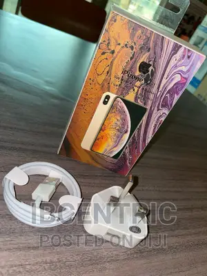 iPhone X USB Adapter and Cable