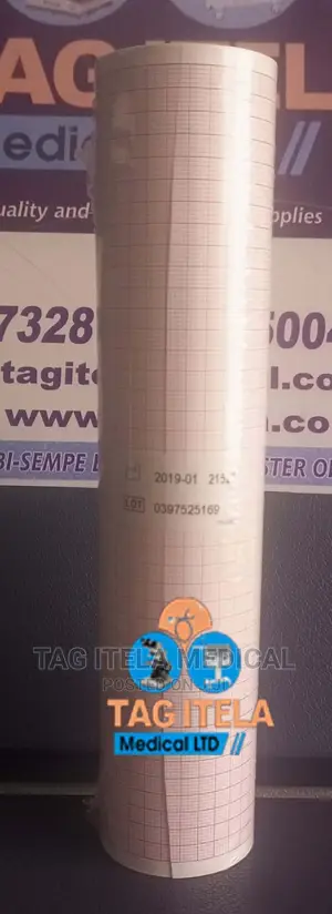 ECG Paper (Channel 12)