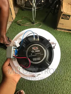 Pa Ceiling Speakers (Gls Cl1000)