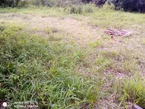 4plots for Sale -Tesano