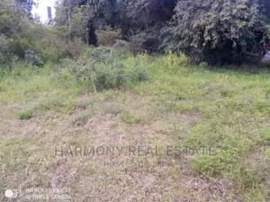 4plots for Sale -Tesano