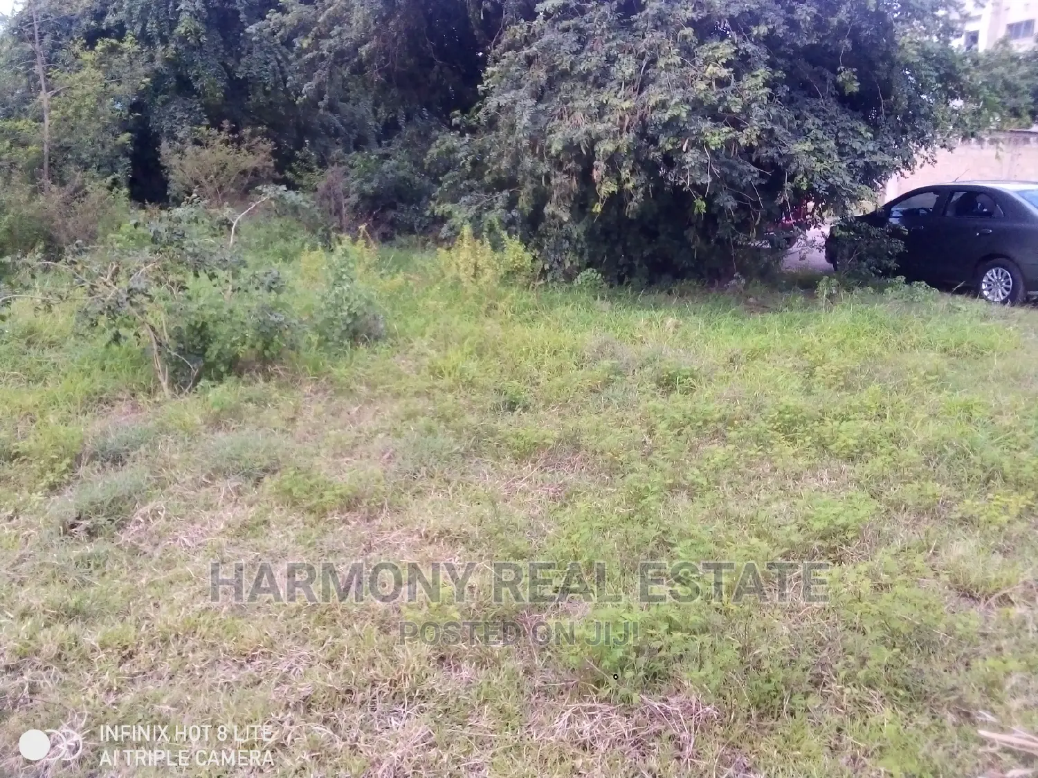 4plots for Sale -Tesano