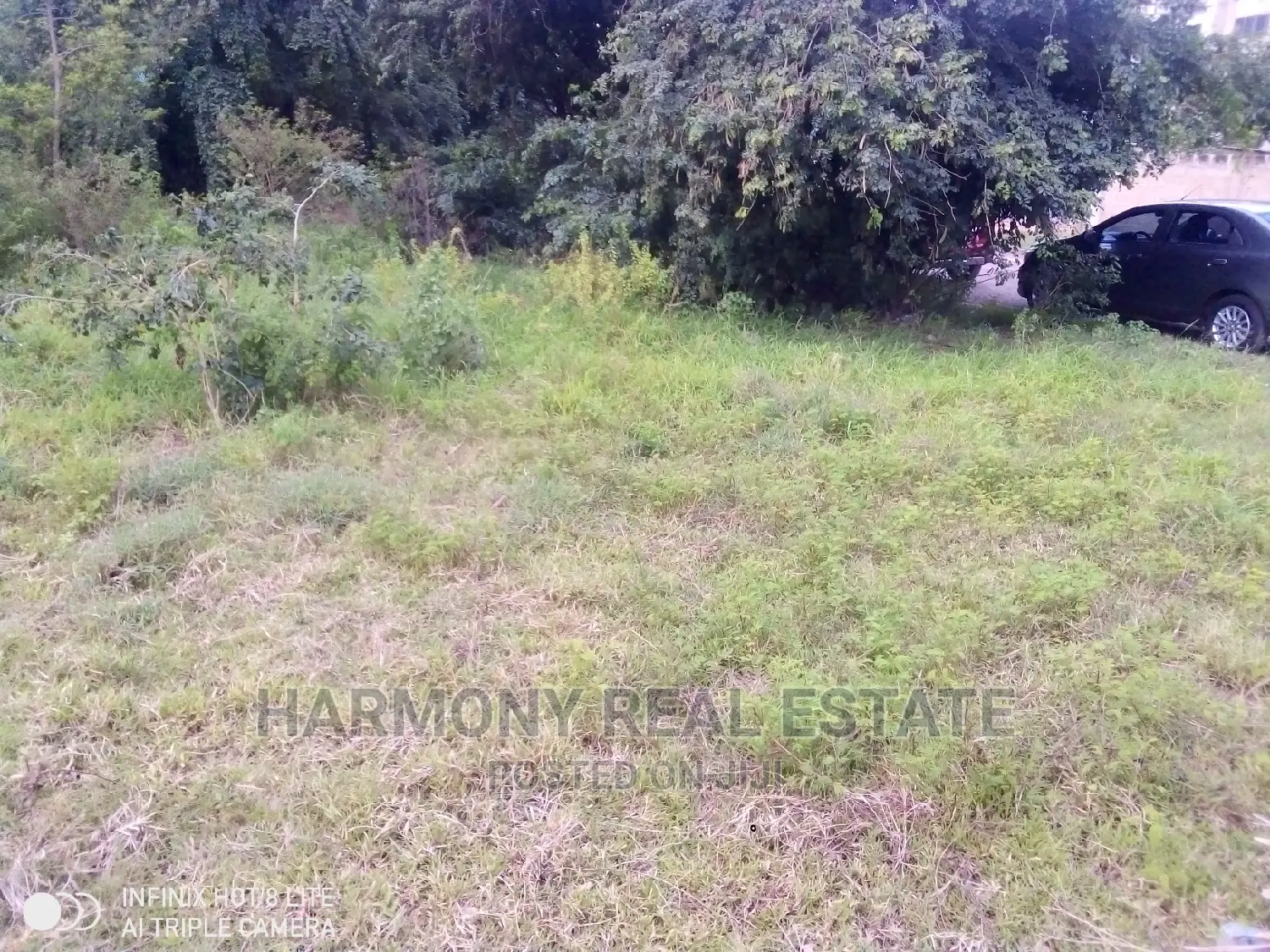 4plots for Sale -Tesano