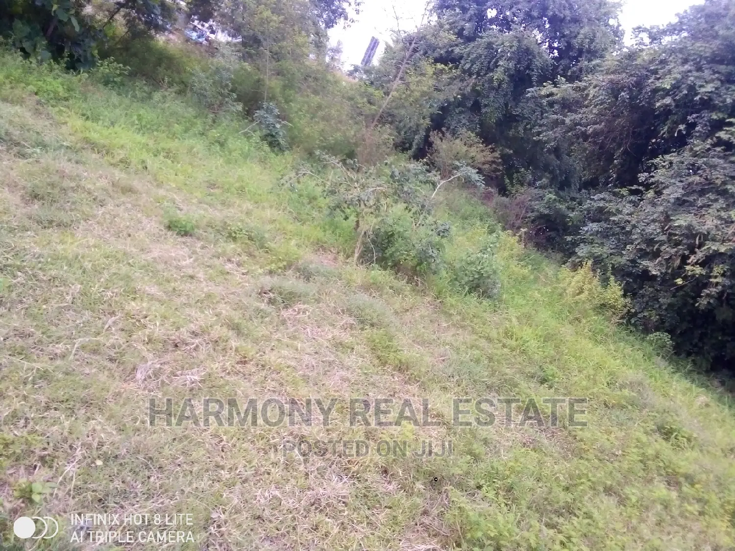 4plots for Sale -Tesano