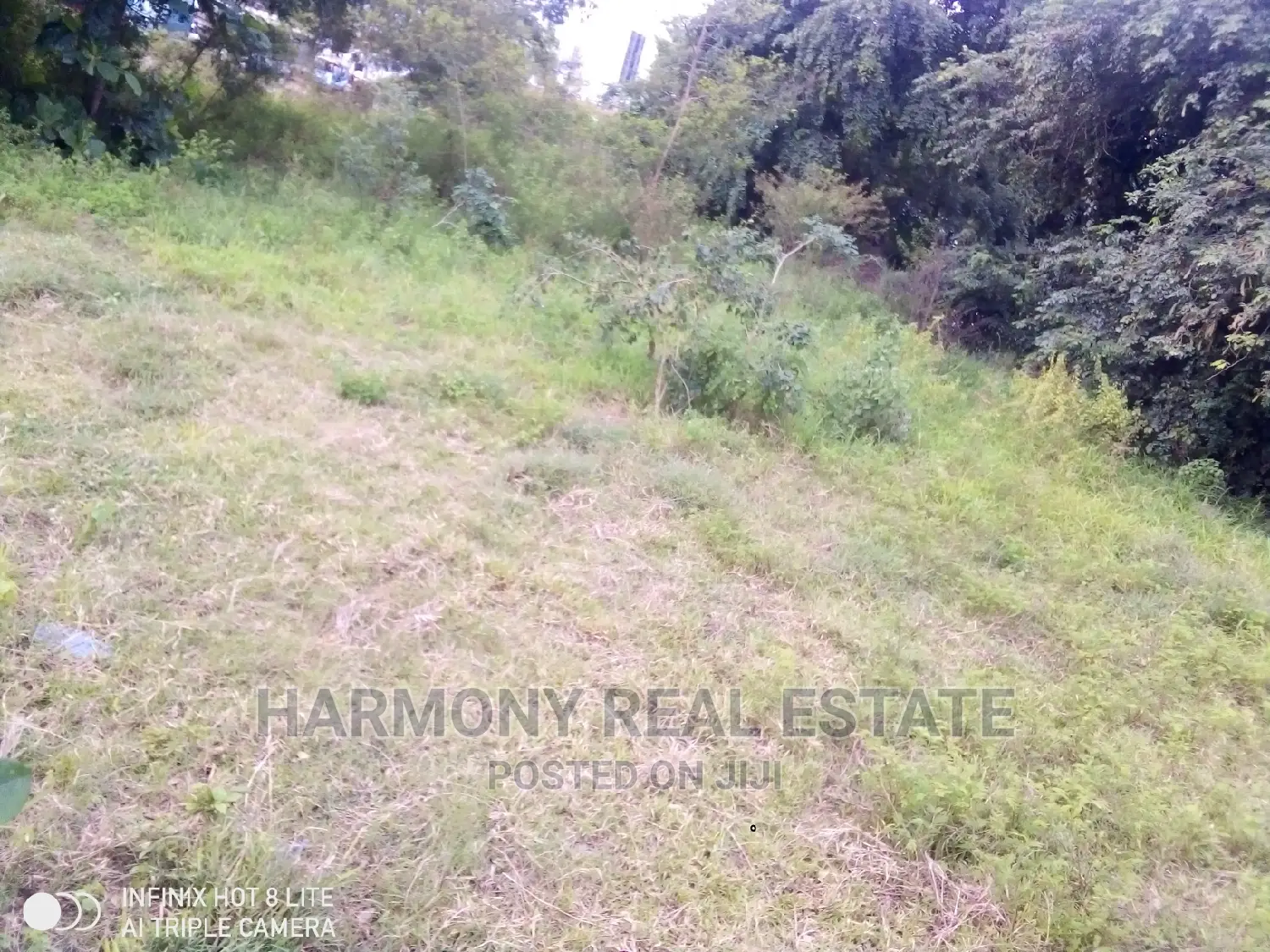 4plots for Sale -Tesano