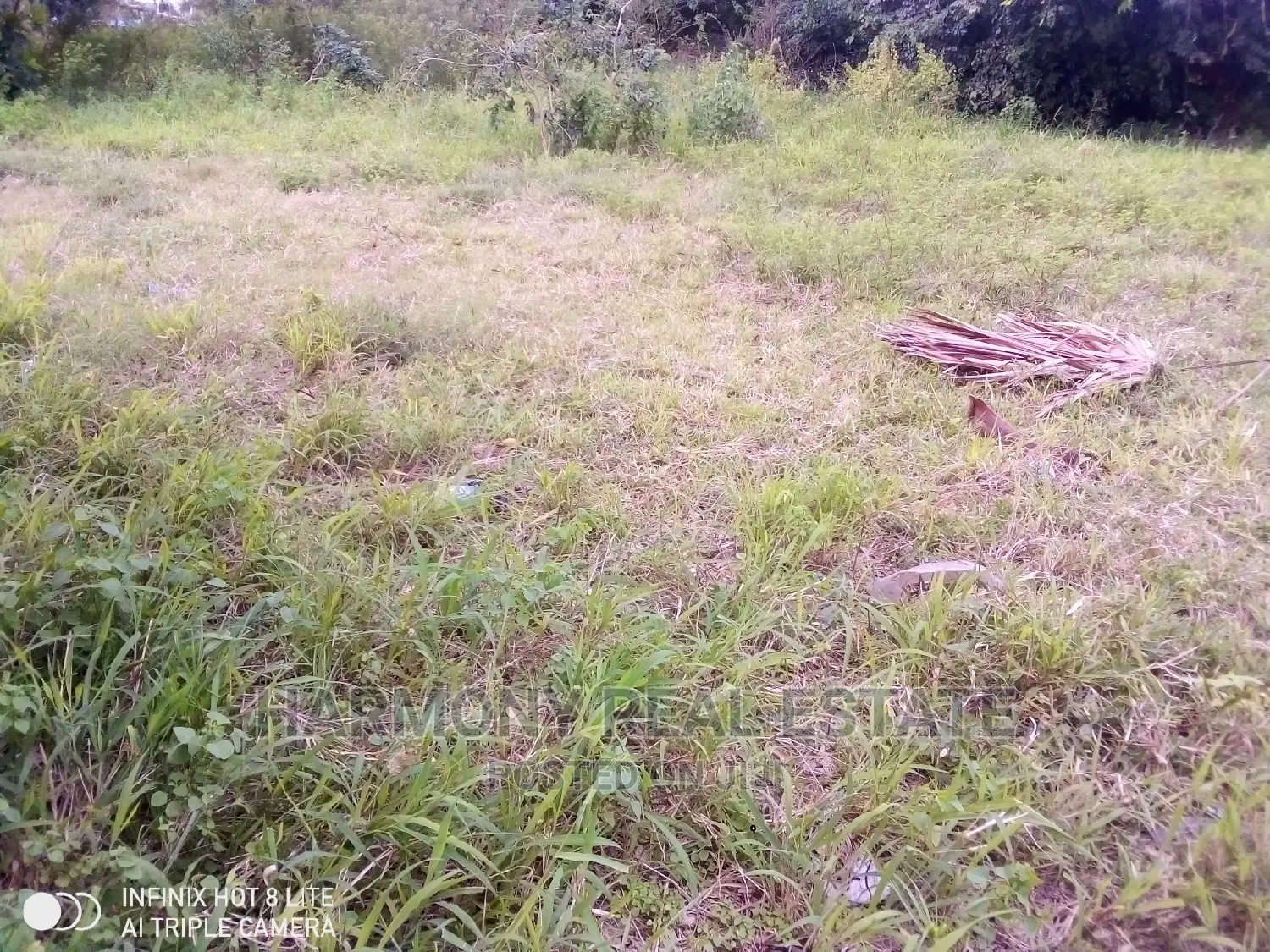 4plots for Sale -Tesano