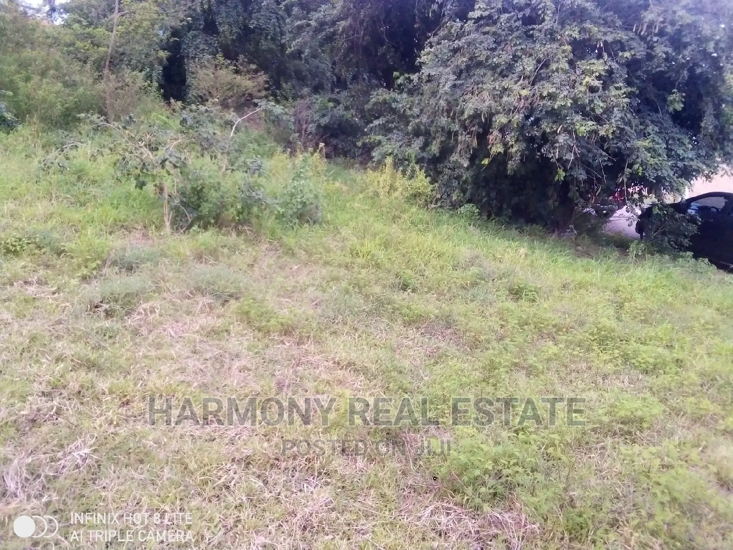 4plots for Sale -Tesano