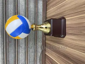 Original Volleyball Awards Trophy at Cool Price