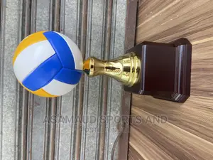 Original Volleyball Awards Trophy at Cool Price