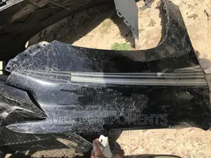 Land Cruiser 2014 Fenders