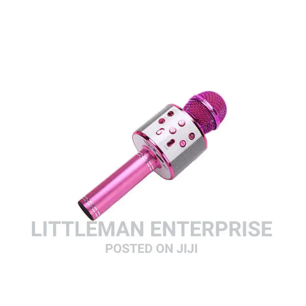 Handheld Karaoke Microphone
