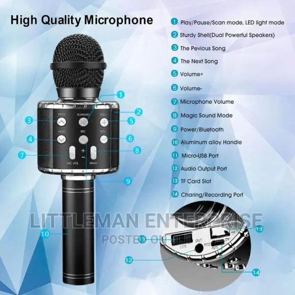 Handheld Karaoke Microphone