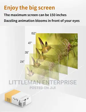 Mini Projector