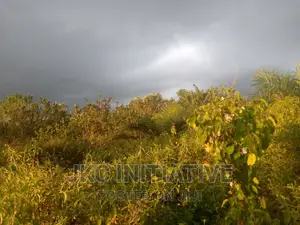 100 Acres Road Side Land For Sale At Busua