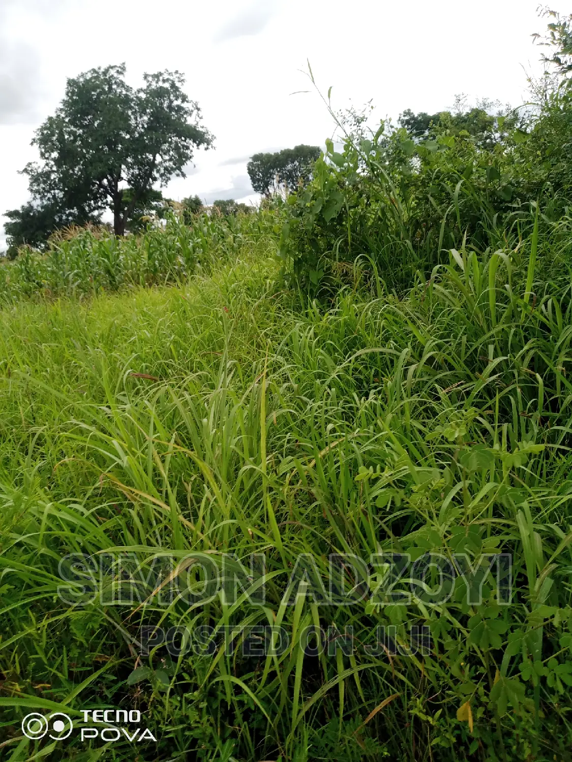 50,000 Acres of Farm Land for Login Lease