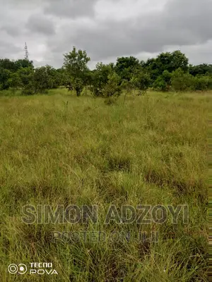 Farm Land for Sale in Volta Regina