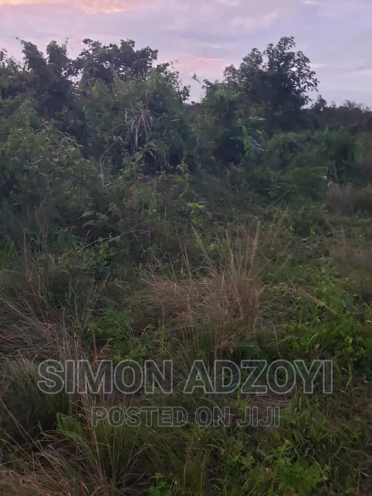 2000 Acres Of Land For Sale