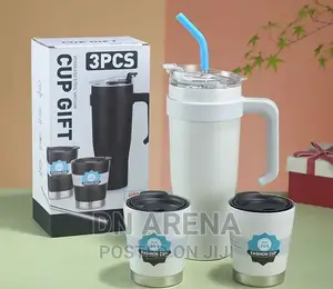 Stainless Steel Insulated Flask With 2 Cups and a Straw