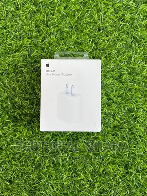 20w Type - C Charger (2pin)
