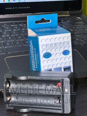 Direct Plug Battery Charger