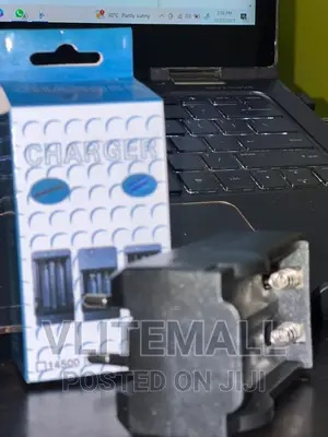 Direct Plug Battery Charger