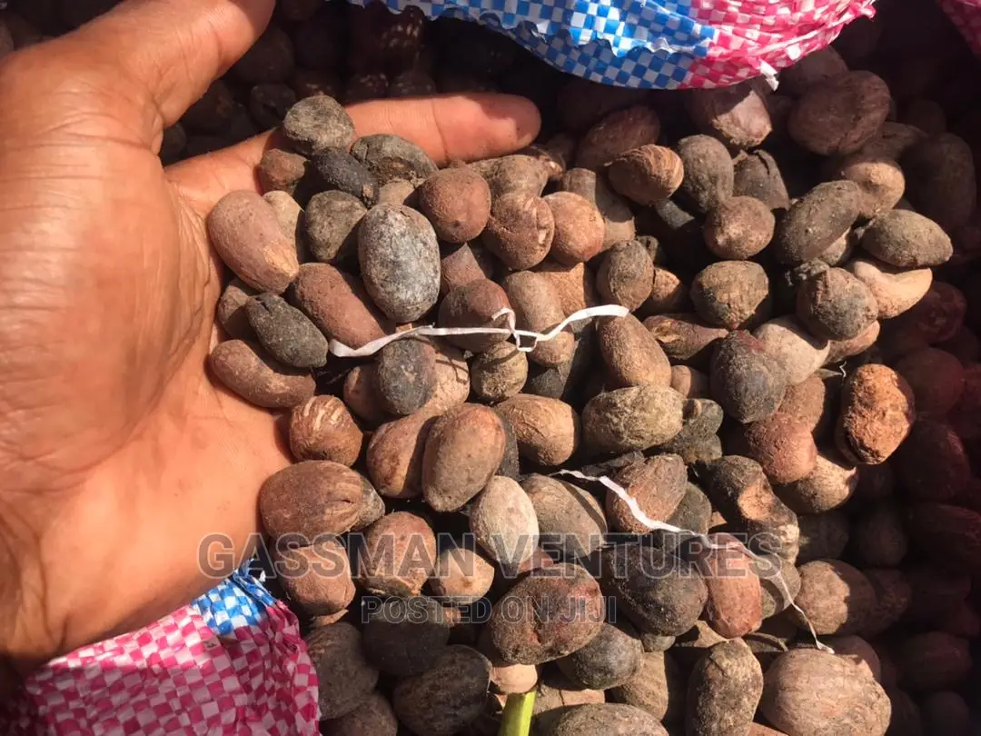 Raw Shea Nuts Available