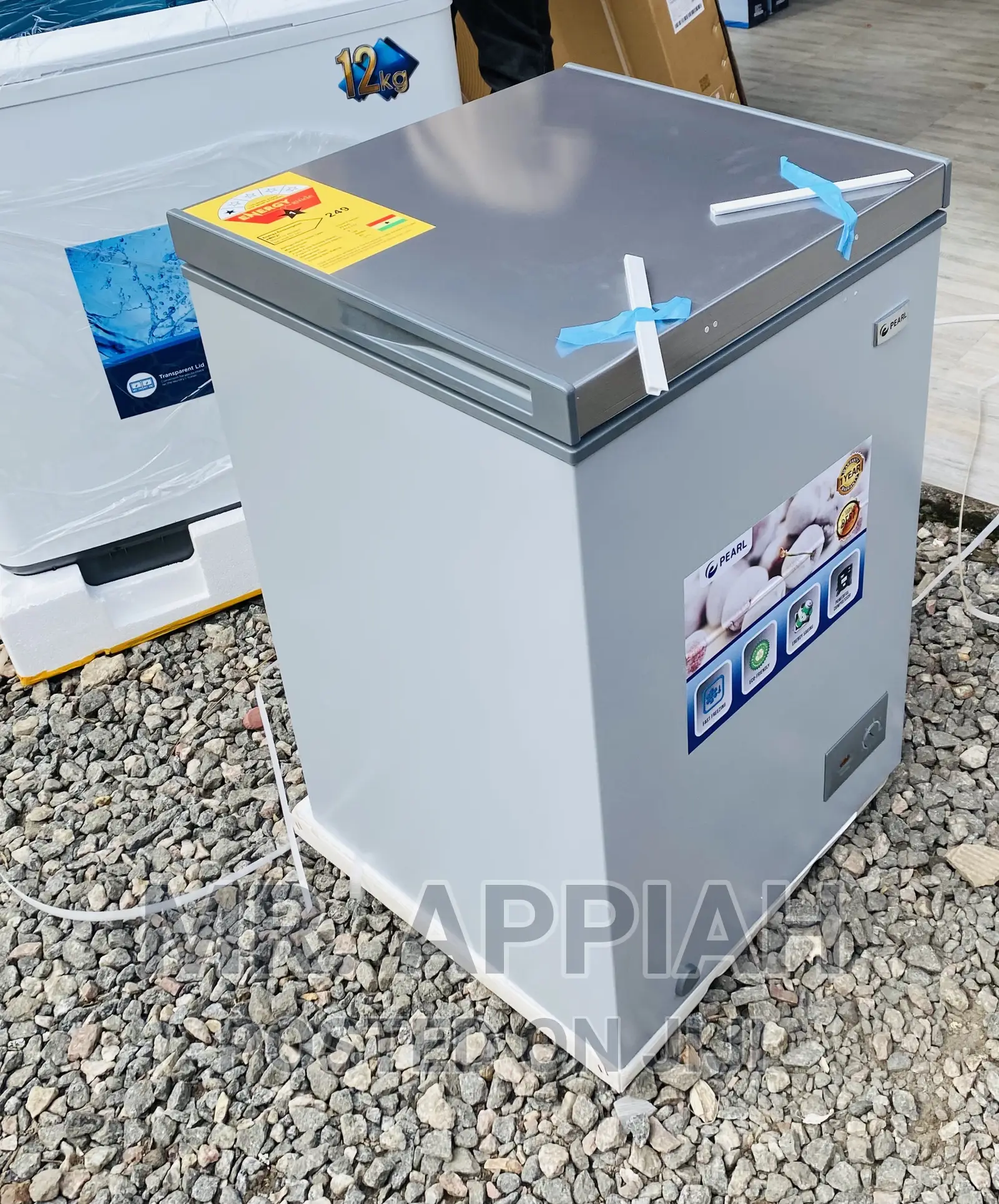 Shop Authentic Pearl Single Door Chest Freezer(PF-127)Gray.