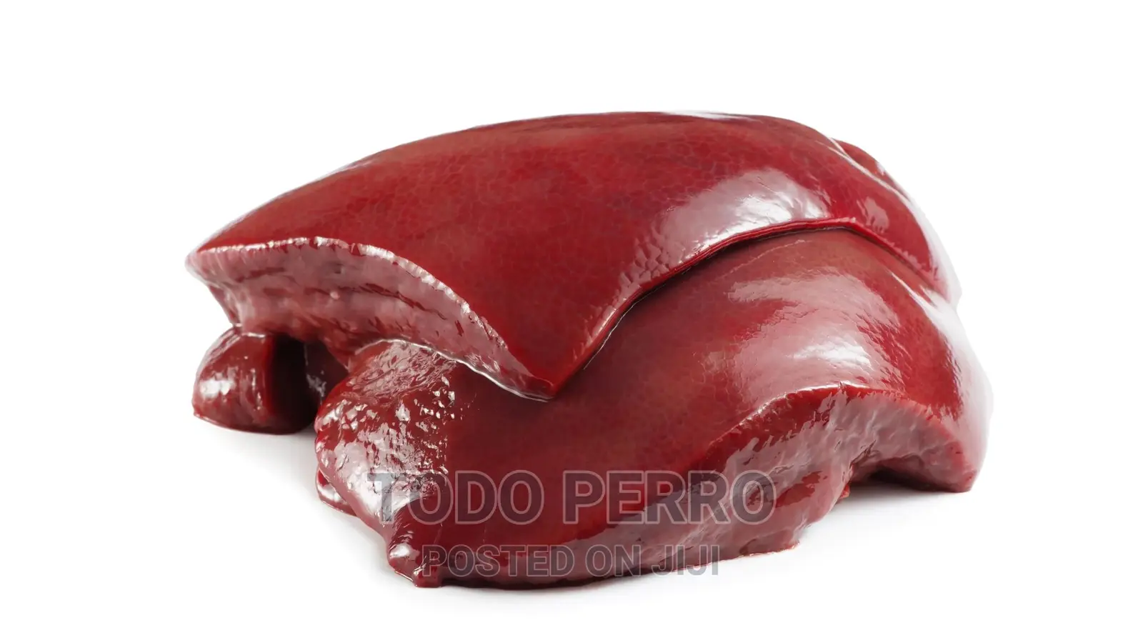 Beef Liver for Dogs
