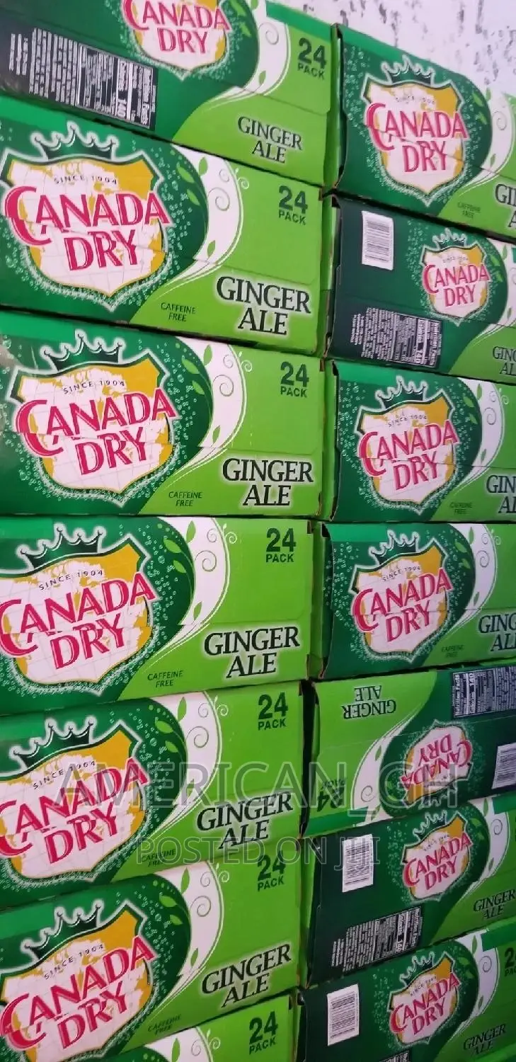 Canada Dry Ginger Ale (24 Pack)