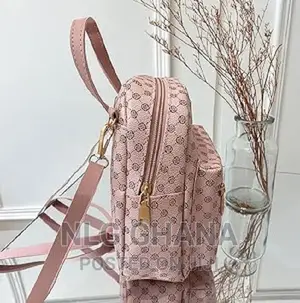 Ladies Backpack Bags