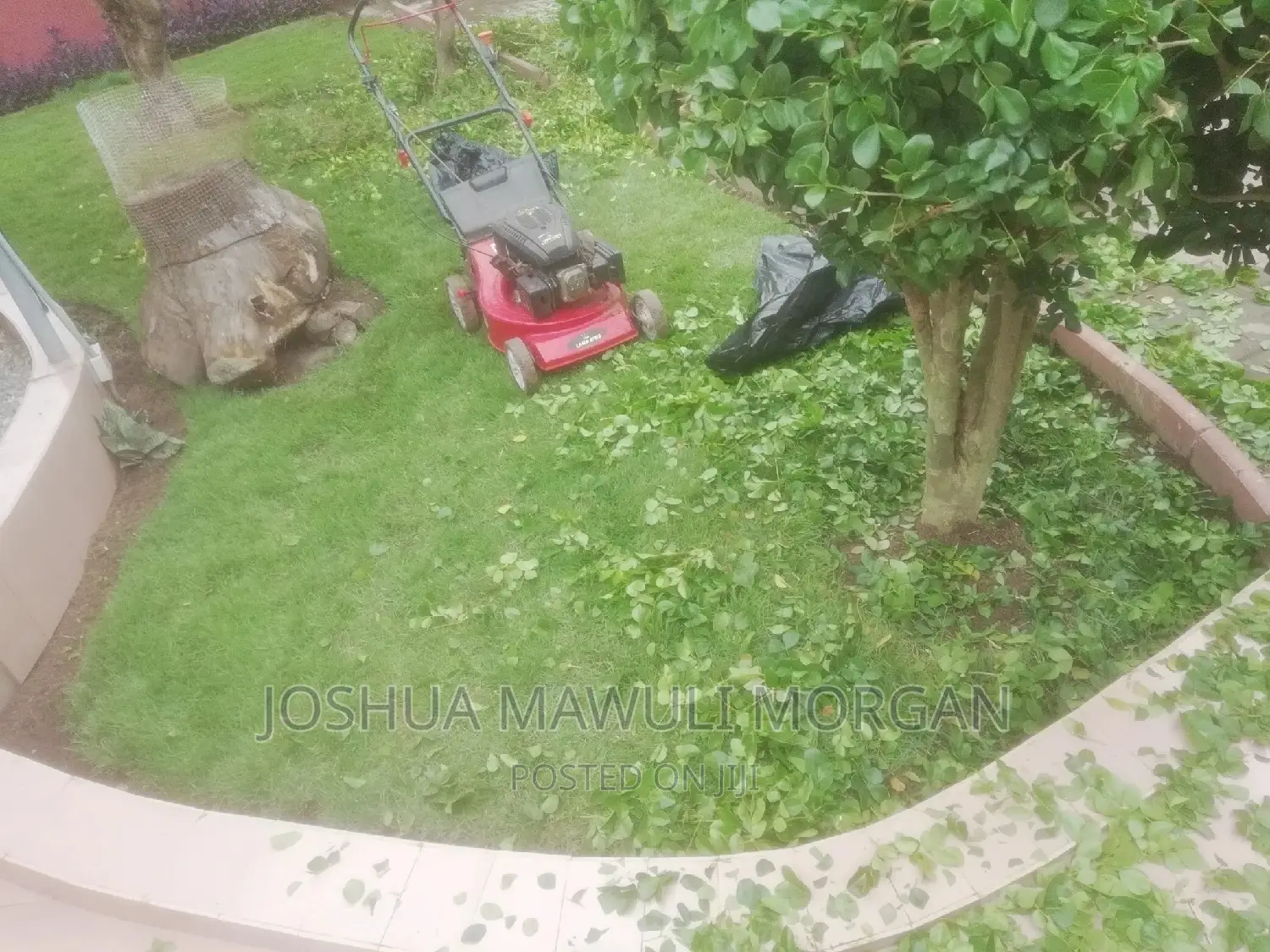 Landscaping,Hedge Edge Trimming,Lawn Mowing Maintenance