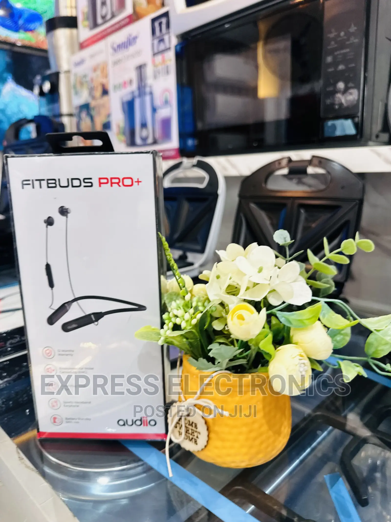 Special Offer on Audiio Fitbuds Pro