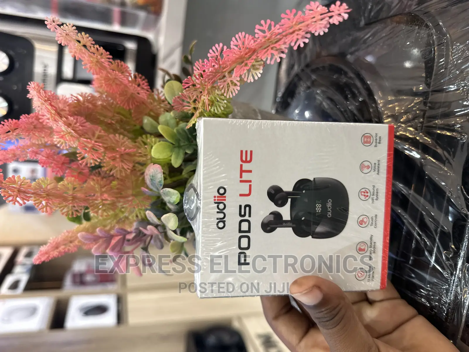 Quality Yet Affordable Audiiopods Lite