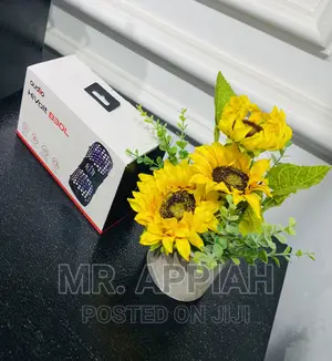 Fast Playing Audiio Hivolt 220 Bluetooth Portable Speaker.