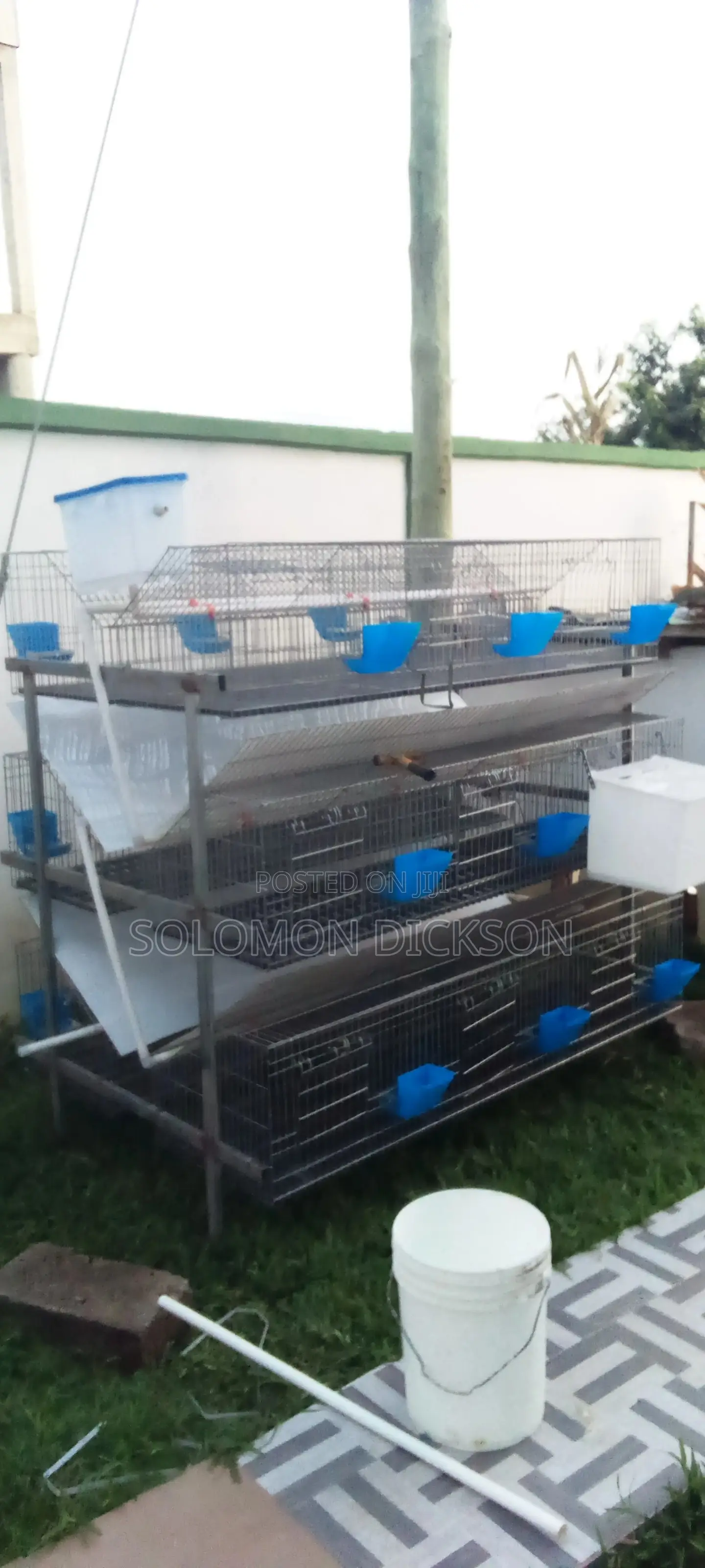 Rabbit Cage With 18 Rooms