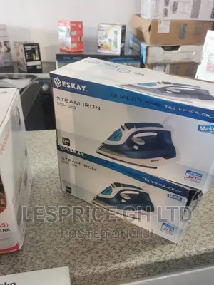 The Best-Eskay Steam Iron