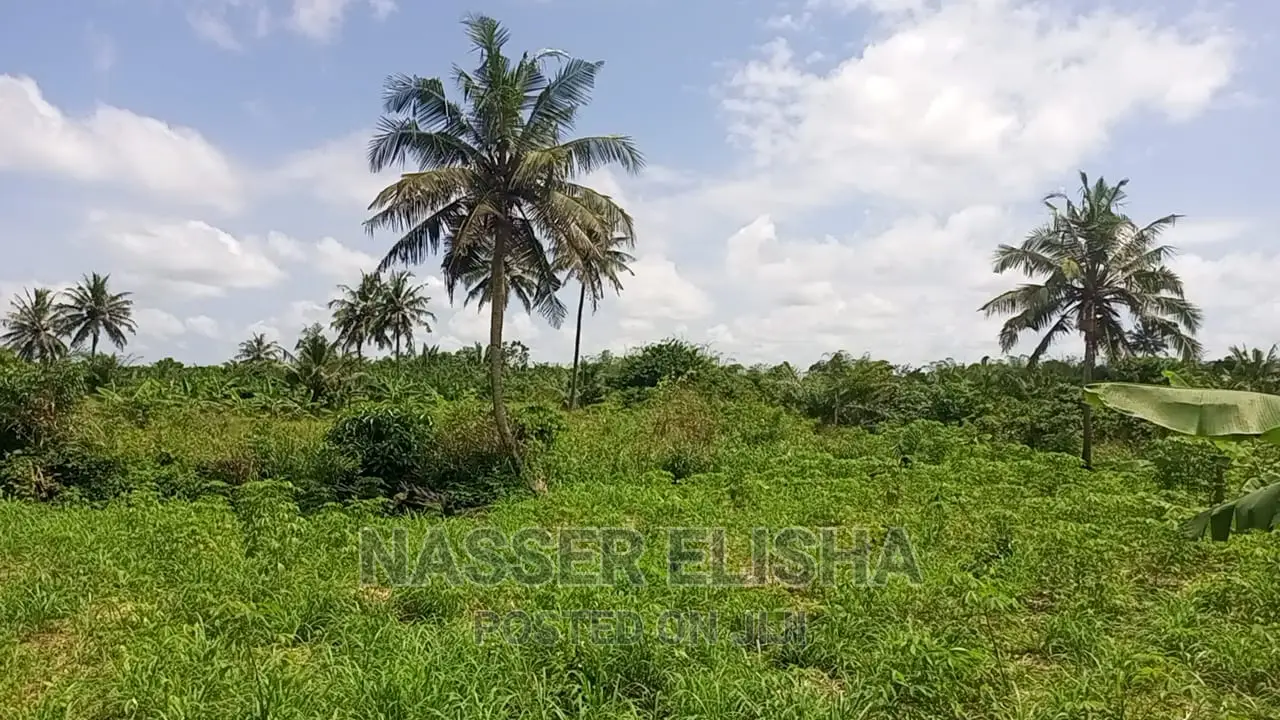 Mankessim Farm Lands for Sale