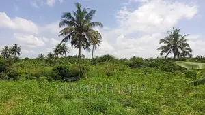 Mankessim Farm Lands for Sale