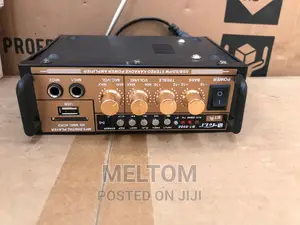 Teli Pa Stereo Karaoke Audio Power Amplifier (Bt-698e)