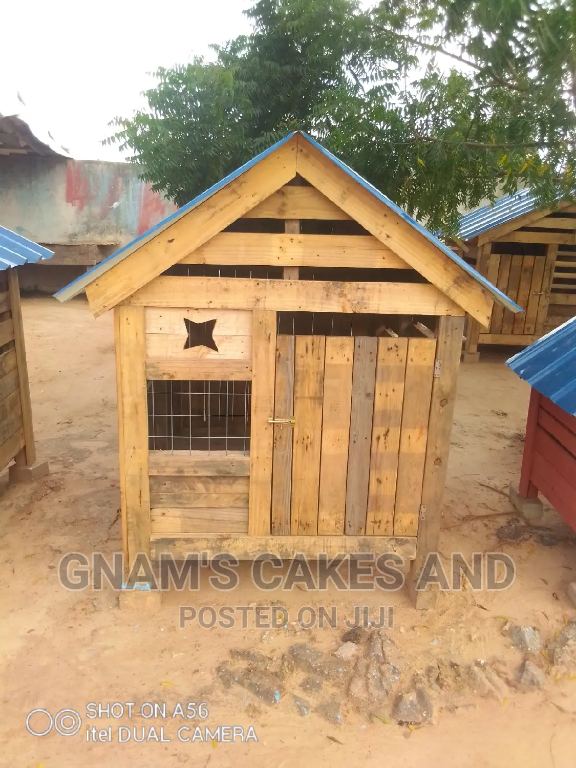 Dog Kennel (Dog Cage)