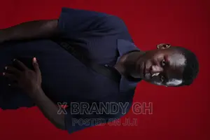 Professional Video Editor