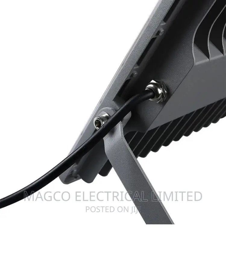 Flood Light 100w