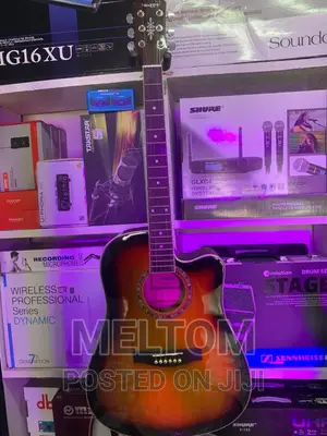 Happy Semi-Acoustic Guitar