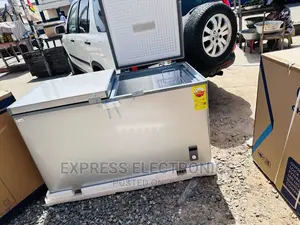 Frozen  Best Nasco Nas-500fl-Dd, 425L Chest Freezer