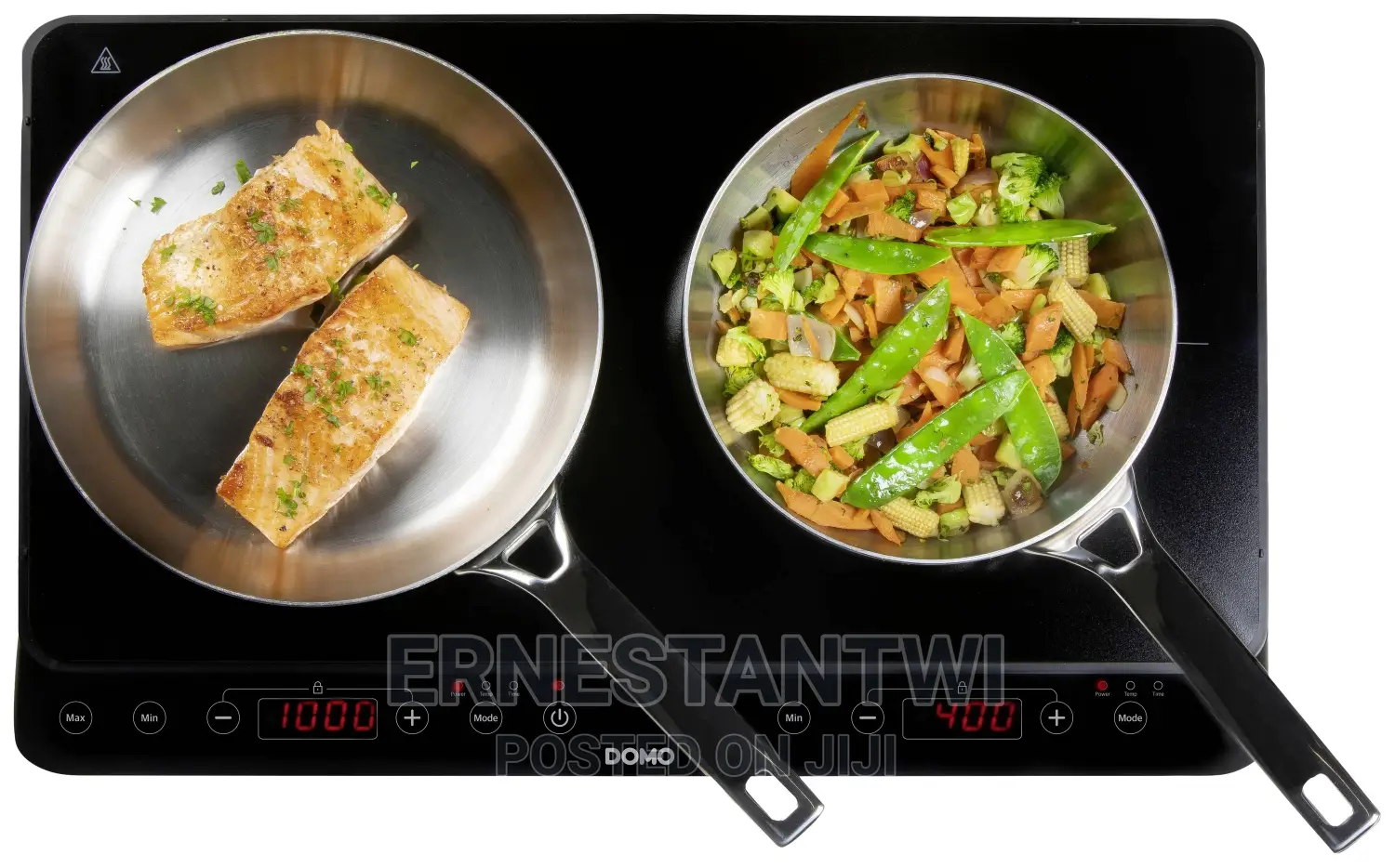 Two Burner Induction Cooker From Domo, Germany